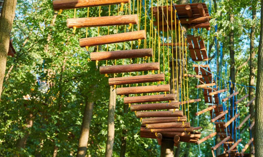 Waldhochseilgarten: Grenzen überwinden im Team