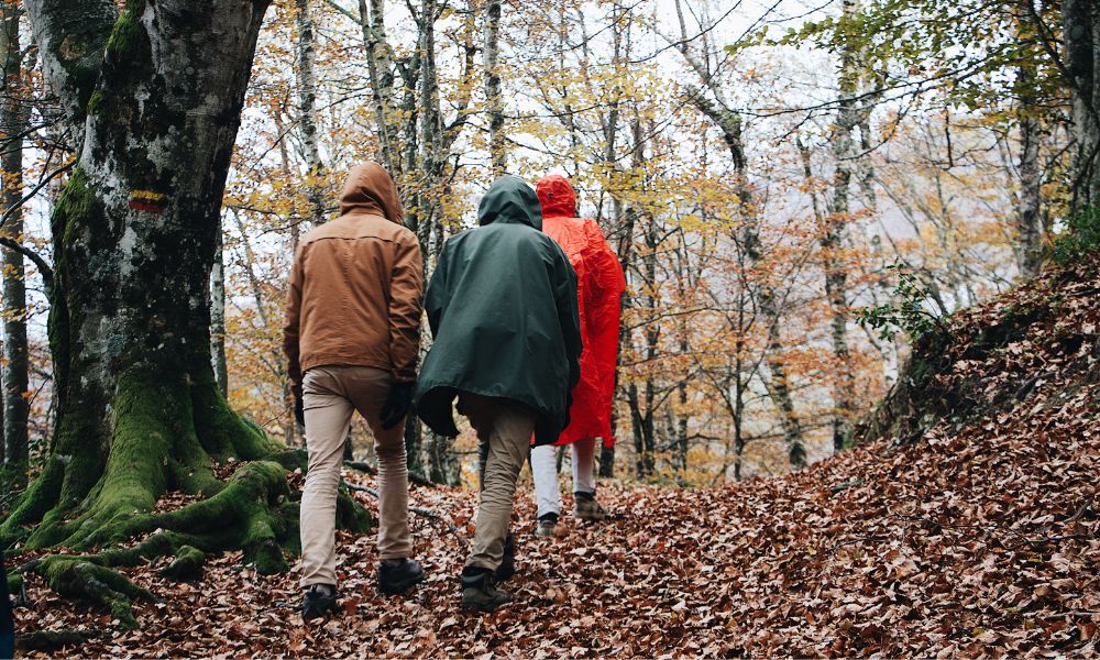 Waldbaden: Entschleunigung und Achtsamkeit für euer Team