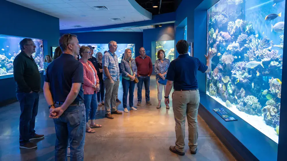 Aquazoo Düsseldorf – Kollegen stehen mit Führer:in vor leuchtenden Aquarien im Löbbecke Museum