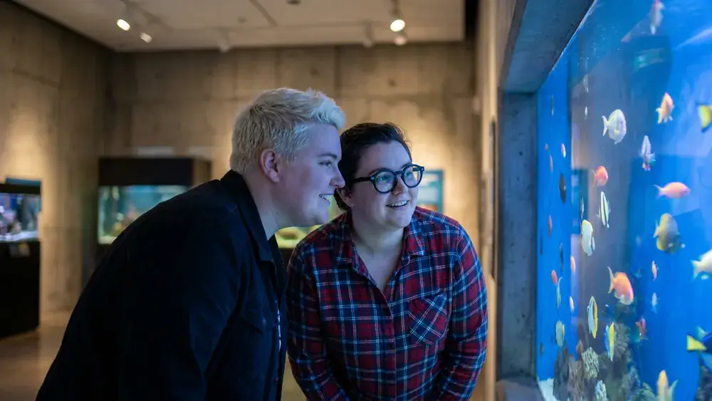 Aquazoo Löbbecke Museum in Düsseldorf – Zwei Personen vor einem beleuchteten Aquarium