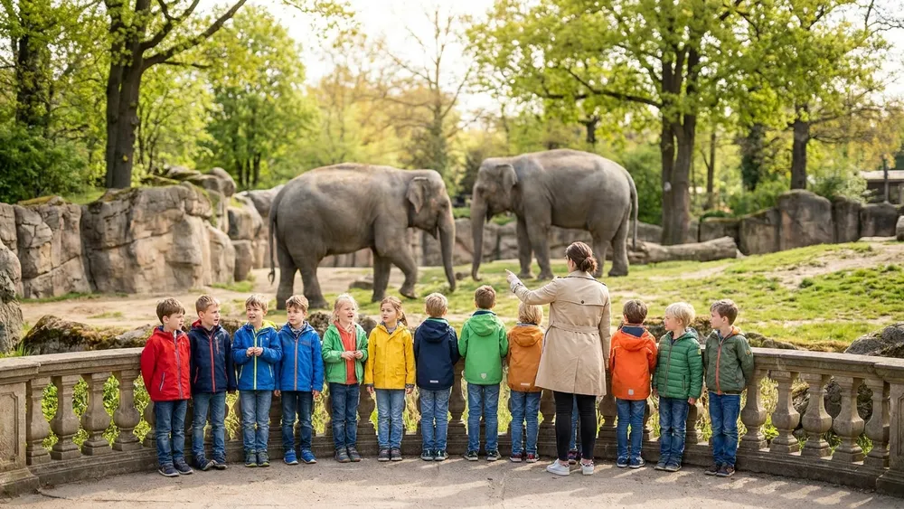 Tierpark Hagenbeck Hamburg – Schulklasse beobachtet Elefanten im gitterlosen Gehege