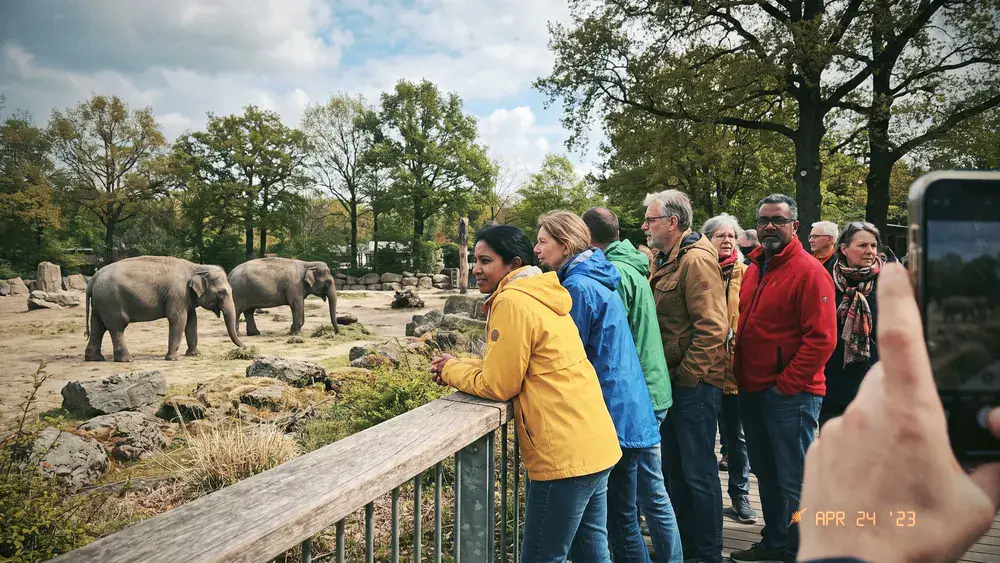 Tierpark Hagenbeck in Hamburg – Kollegen beobachten Elefanten im gitterlosen Gehege in Stellingen