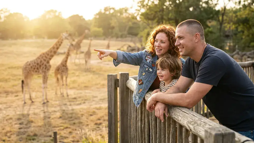 Erlebnis-Zoo Hannover – Familie beobachtet Giraffen in der Savanne Sambesi