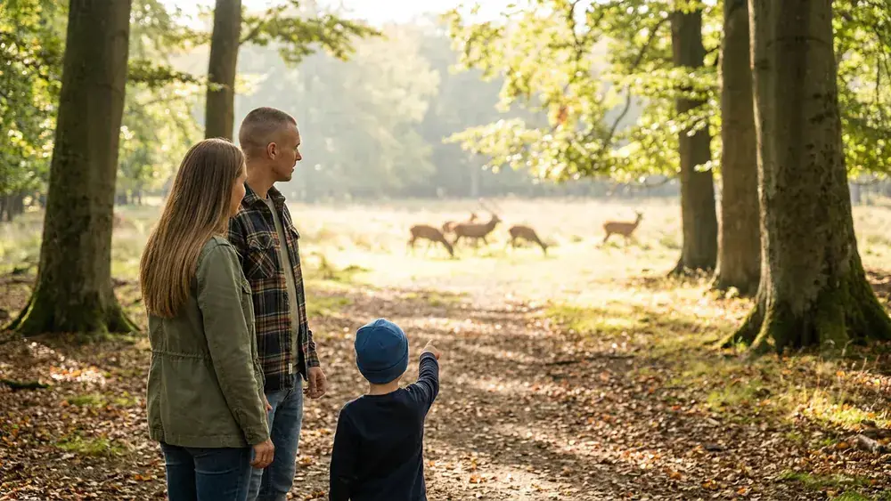 Tiergarten Hannover – Familie beobachtet Rothirsche auf einer Waldlichtung