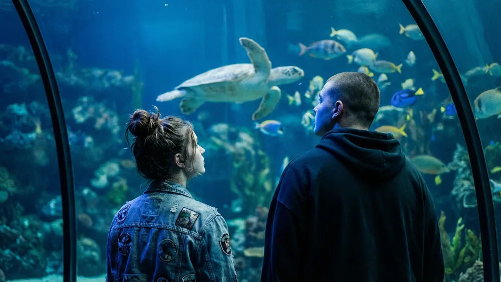 SEA LIFE Hannover – Schüler stehen staunend vor einem großen Aquariumbecken mit tropischen Fischen