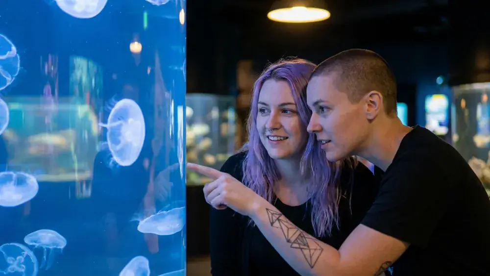 Aquarium GEOMAR in Kiel – Zwei Personen vor einem beleuchteten Aquarium mit Quallen