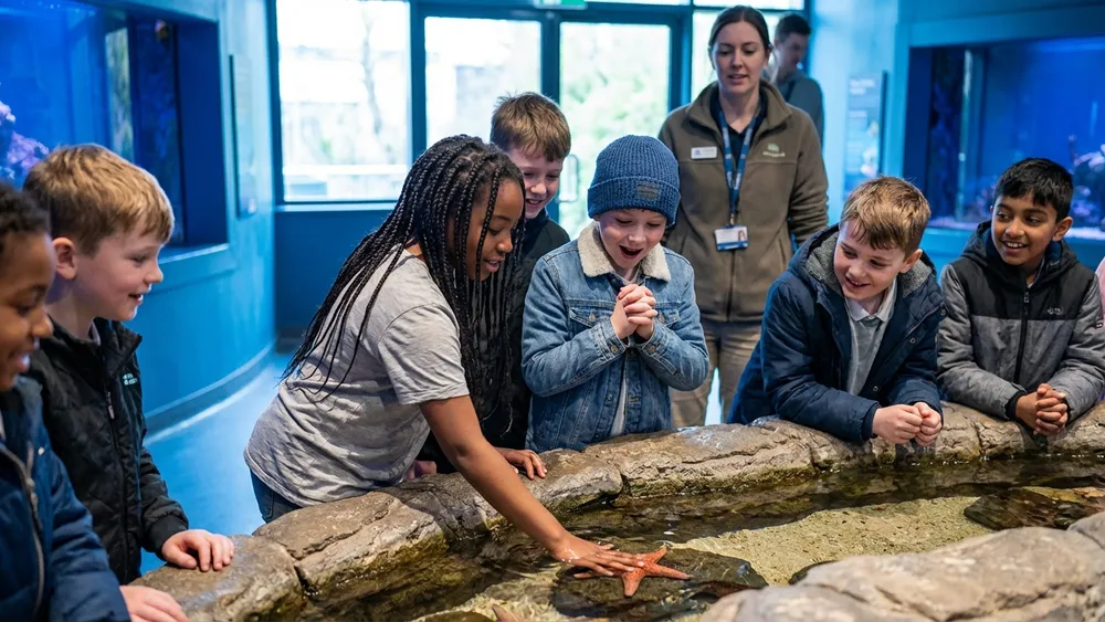 Aquarium GEOMAR in Kiel – Schulklasse am Fühlbecken mit Seesternen und Krebsen
