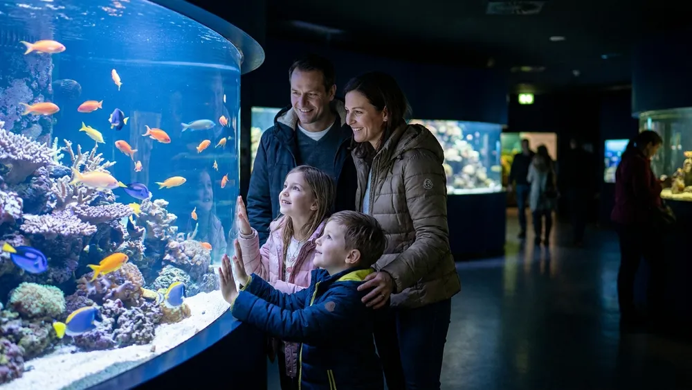 Haus des Meeres Wien – Familie schaut in ein leuchtendes Tropisches Korallenriff-Aquarium